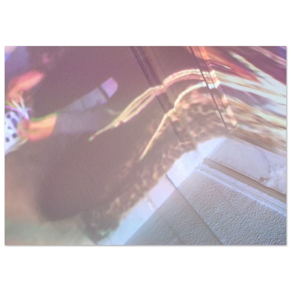 1b9b2b71-6fce-4920-9216-e20d156b4e5a
